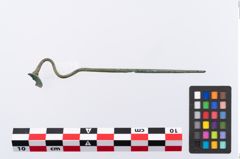 Foto von Bronzeschwanenhalsnadel (NHMW-PRAE-035777)